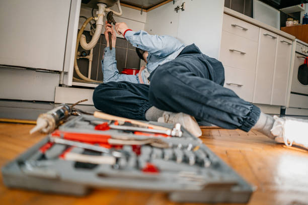Best Residential Plumbing Services  in Diaz, AR